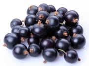 Currant black; Objects on white background